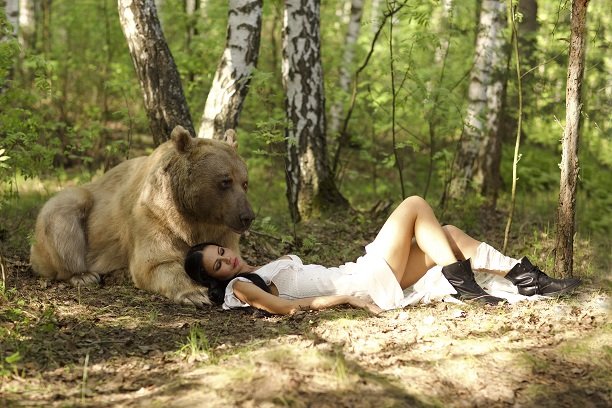  Певица Елена Галицына рискнула жизнью ради красивых фото с огромным медведем